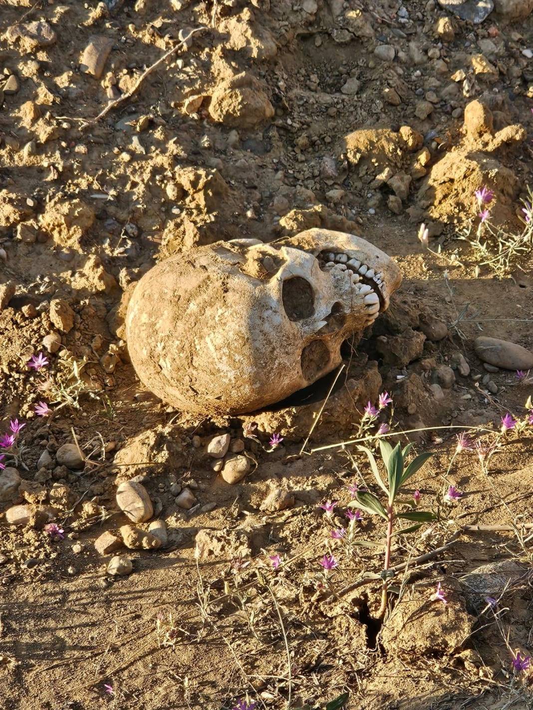 Toprak kayması sonrası korkutan manzara: Görür görmez polisi aradı! Önce morga, sonra Adli Tıp Kurumu'na gönderildi 2